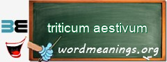 WordMeaning blackboard for triticum aestivum